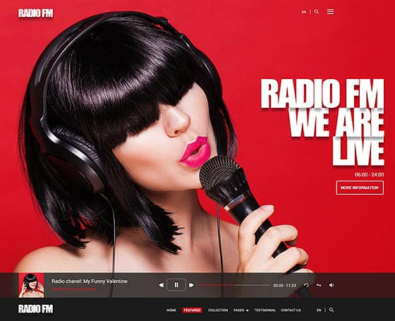 WordPress Radio Template