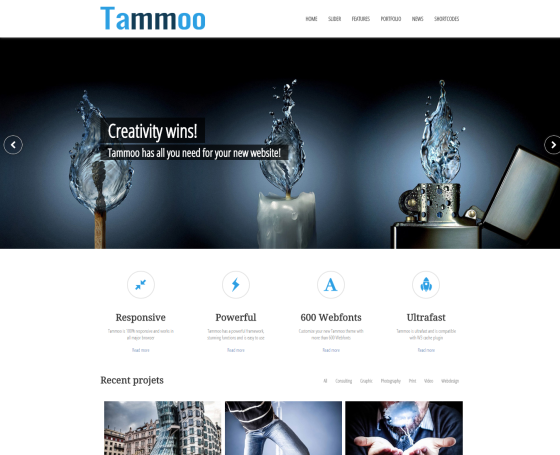 Tammoo - Multipurpose WordPress Theme